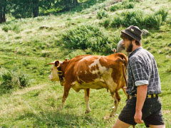 <div class='capt'>Auf der Alpe spielt das Leben in den Sommermonaten. Anfang Juni werden die Kühe von ihren Bauern aus dem Tal hochgetrieben.</div>